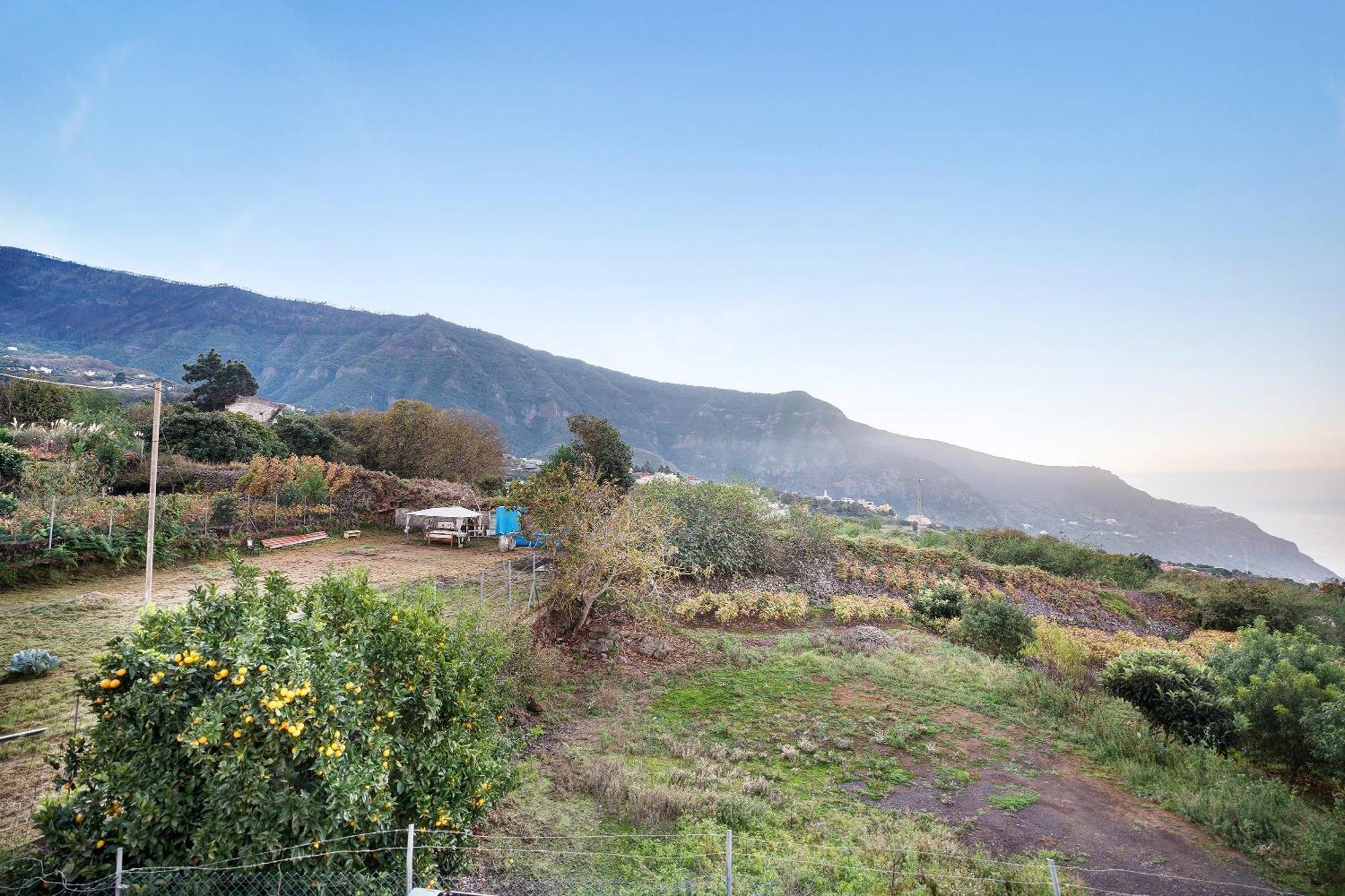 Casita Rural La Pinera Villa Los Realejos Exteriör bild